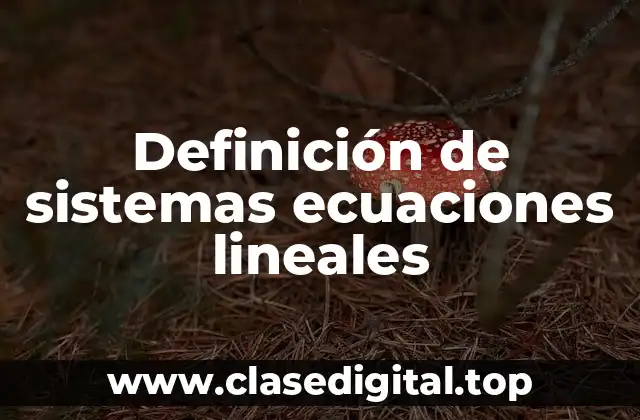 Definición de sistemas ecuaciones lineales
