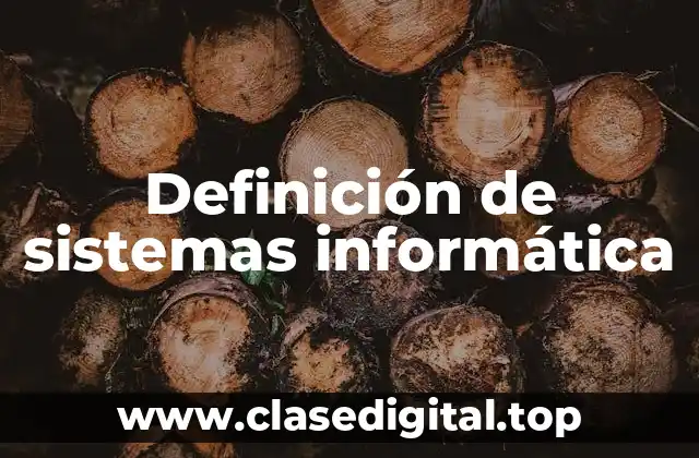 Ejemplos de sistemas informáticos