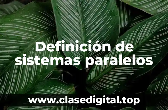Definición de sistemas paralelos