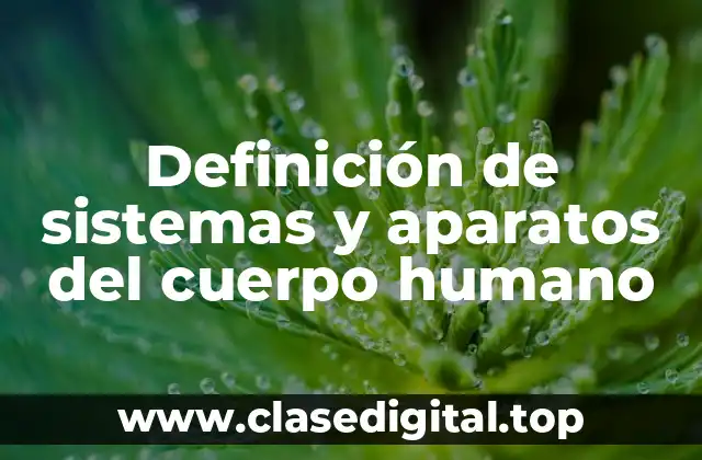 Definición de sistemas y aparatos del cuerpo humano