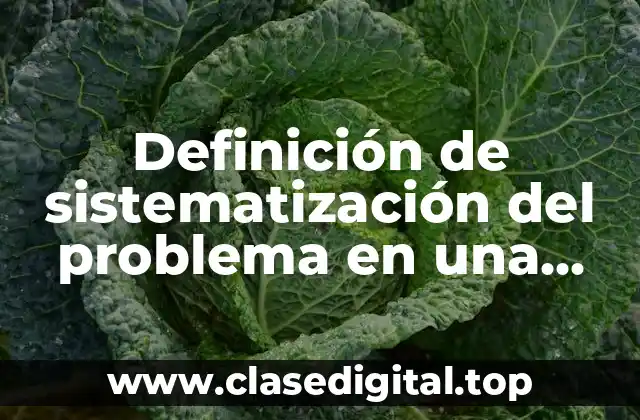 Ejemplos de sistematización del problema en una tesis
