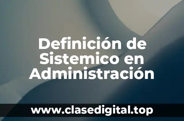 Definición de Sistemico en Administración