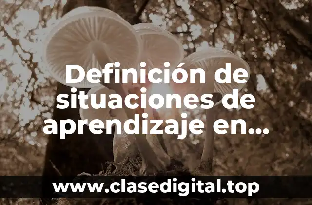 Definición de situaciones de aprendizaje en secundaria