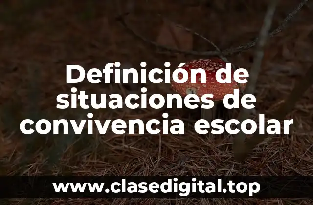 Definición de situaciones de convivencia escolar