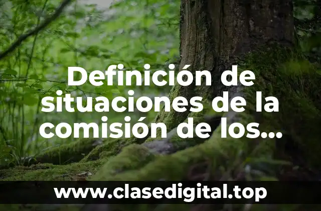 Definición de situaciones de la comisión de los derechos humanos