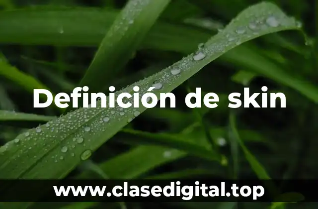 Definición de skin