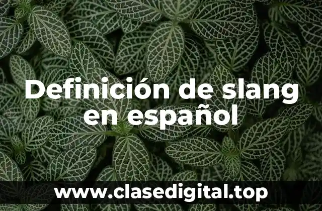 Definición de slang en español