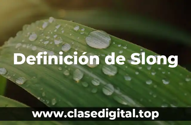 Definición de Slong