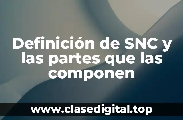 Definición de SNC y las partes que las componen