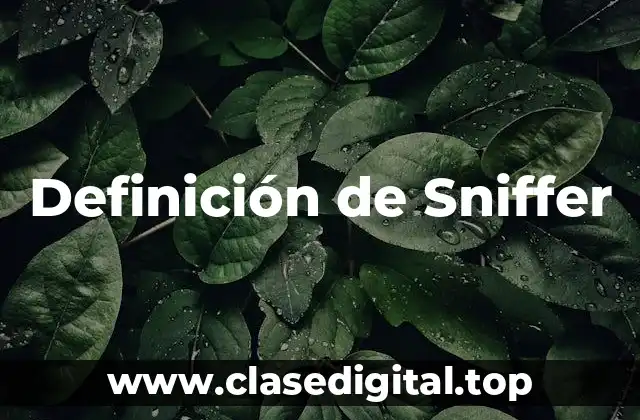 Definición técnica de Sniffer