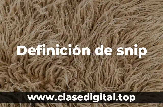 Definición de snip