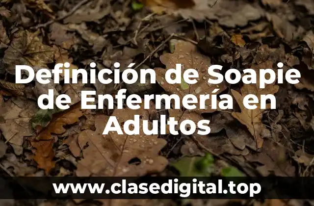 Ejemplos de Soapie de Enfermería en Adultos