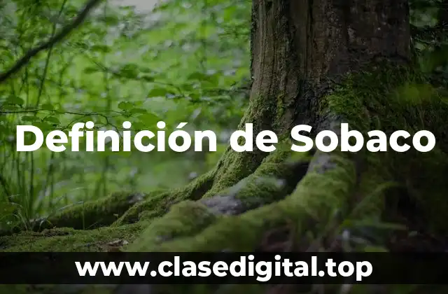 Definición de Sobaco