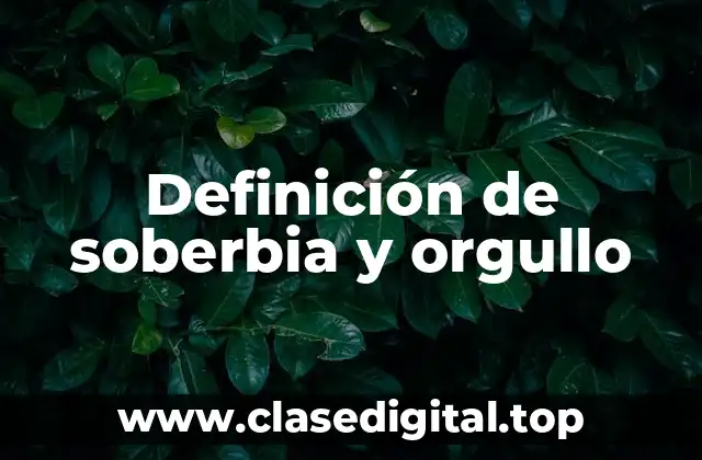 Definición de soberbia y orgullo