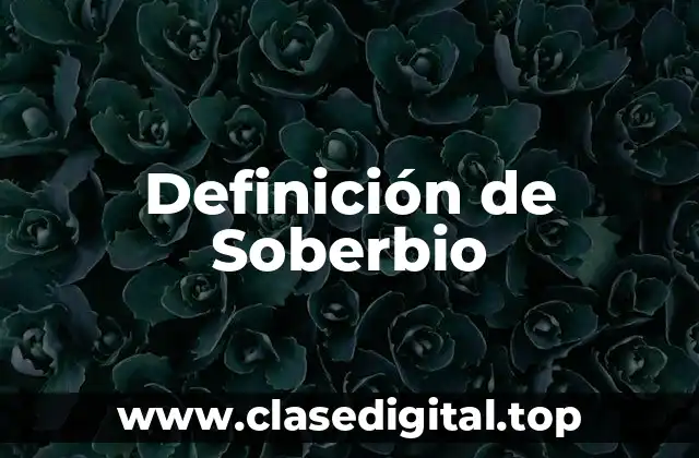 Definición técnica de Soberbio