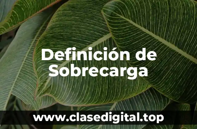 Definición de Sobrecarga