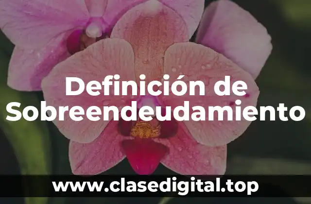 Definición de Sobreendeudamiento