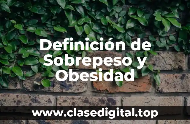 Definición Técnica de Sobrepeso y Obesidad