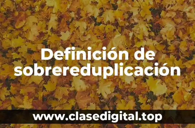 Definición de sobrereduplicación