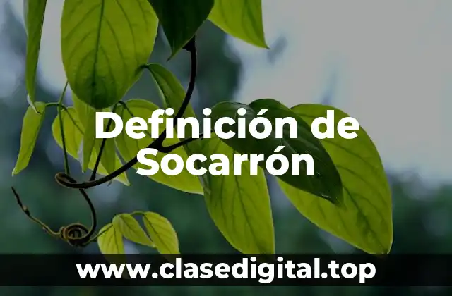 Definición de Socarrón
