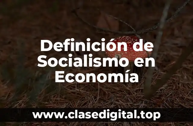 Definición de Socialismo en Economía