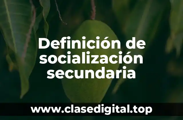 Definición de socialización secundaria