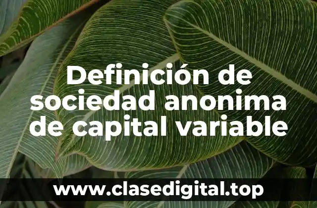 Ejemplos de sociedad anónima de capital variable