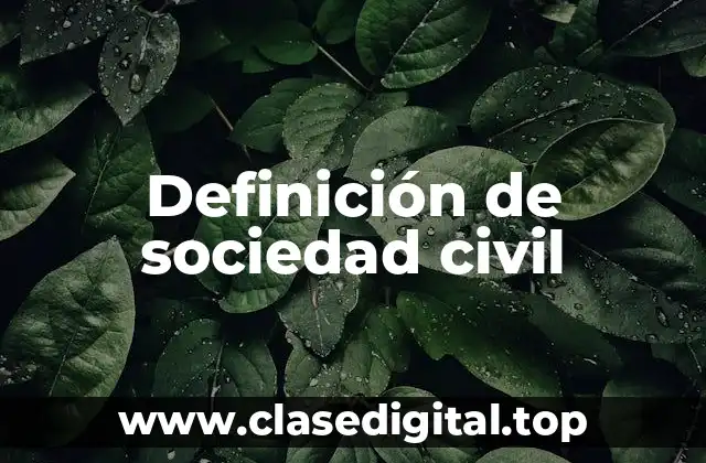 Definición de sociedad civil
