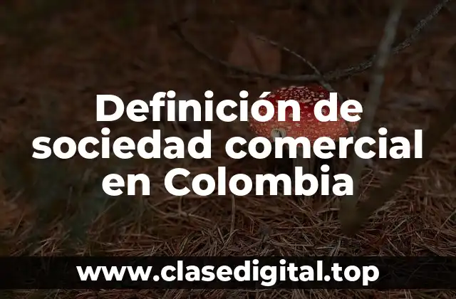 Definición de sociedad comercial en Colombia