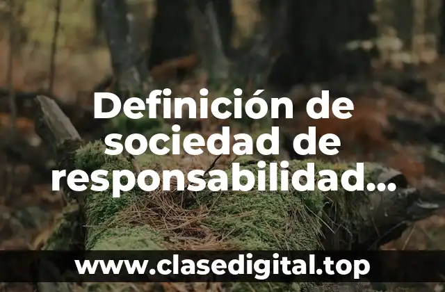 Definición de sociedad de responsabilidad limitada
