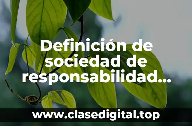 Definición técnica de sociedad de responsabilidad limitada