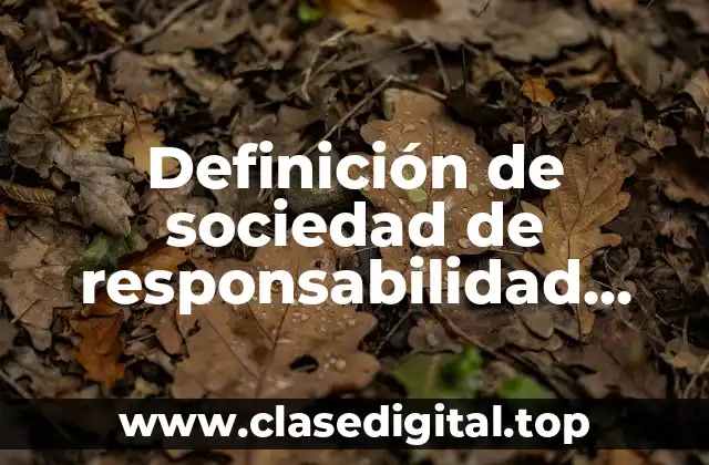 Definición de sociedad de responsabilidad limitada de capital variable