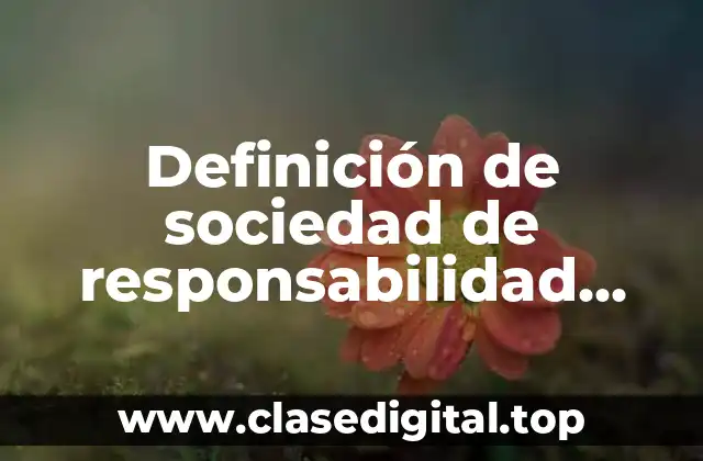 Definición de sociedad de responsabilidad limitada en México