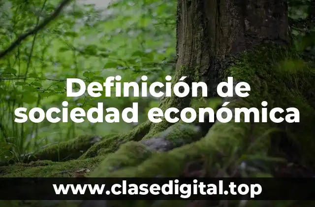 Definición de sociedad económica