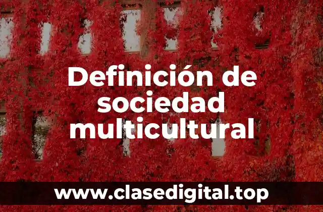 Definición de sociedad multicultural