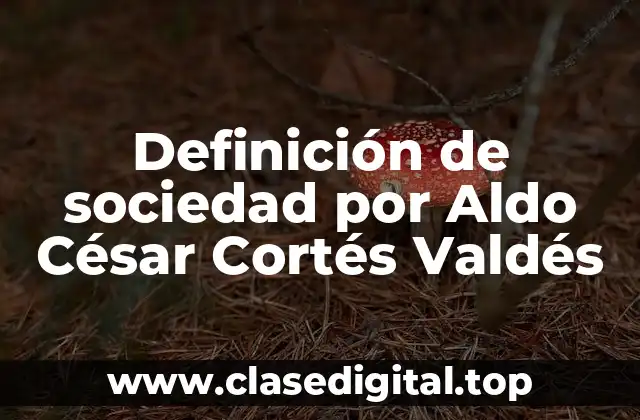 Definición de sociedad por Aldo César Cortés Valdés
