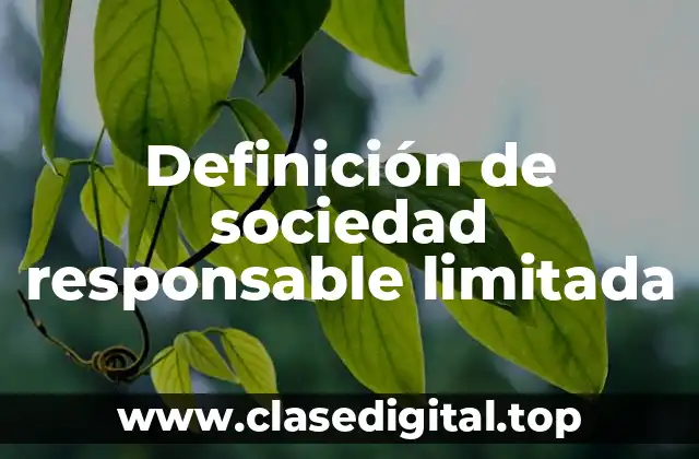 Definición de sociedad responsable limitada