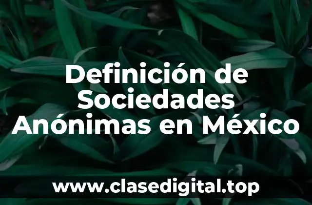 Definición de Sociedades Anónimas en México