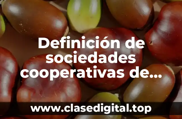 Definición de sociedades cooperativas de producción