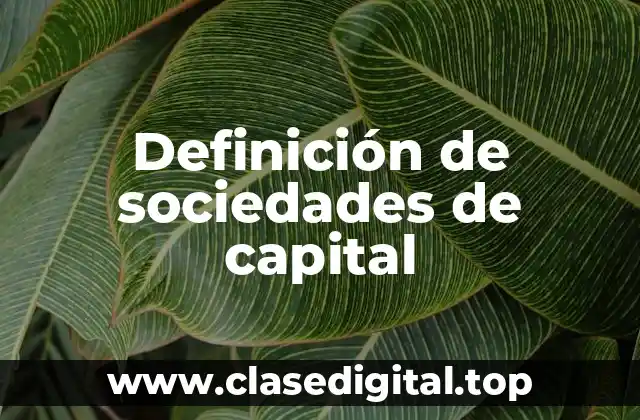 Definición de sociedades de capital