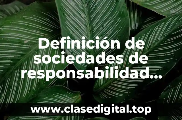 Definición técnica de sociedad de responsabilidad limitada