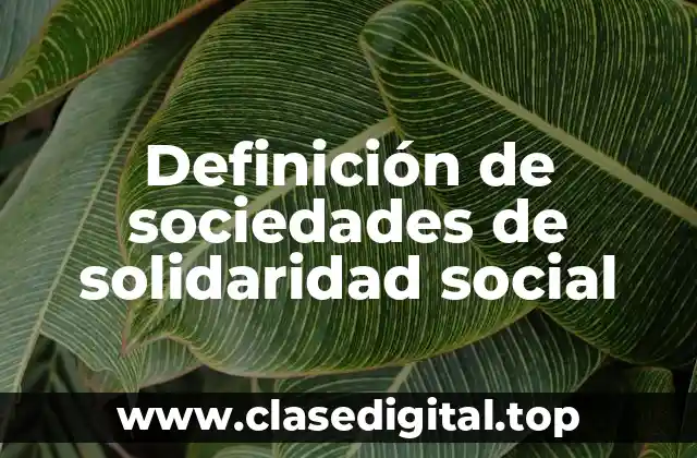 Definición de sociedades de solidaridad social