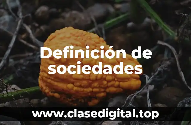 Definición de sociedades