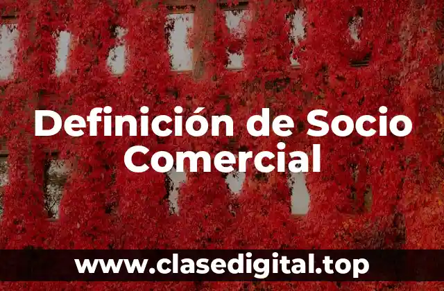 Definición Técnica de Socio Comercial