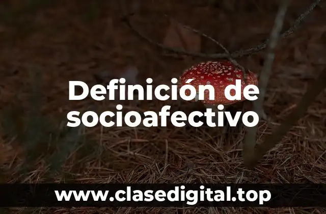 Definición de socioafectivo