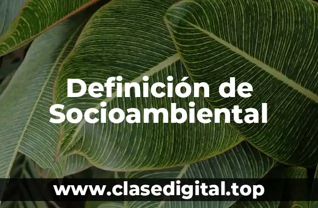 Definición de Socioambiental
