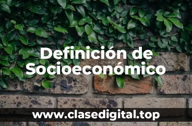 Definición de Socioeconómico