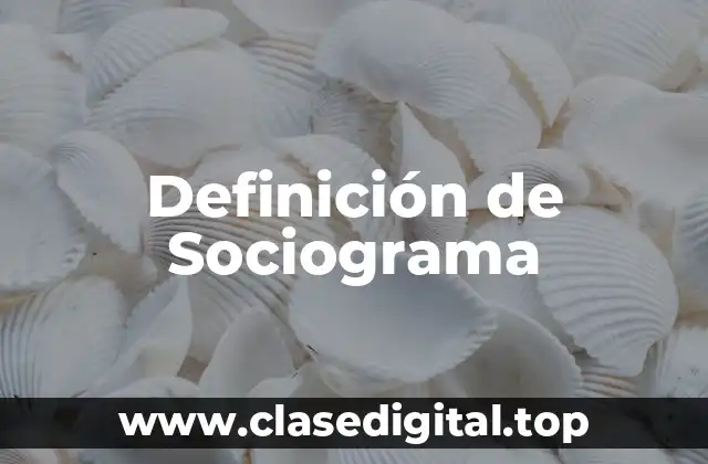Definición de Sociograma
