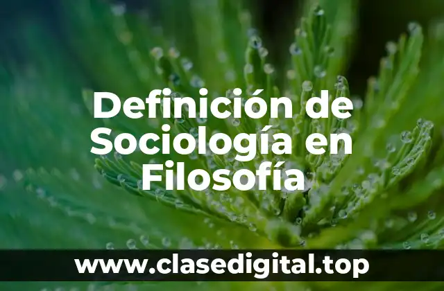 Definición de Sociología en Filosofía