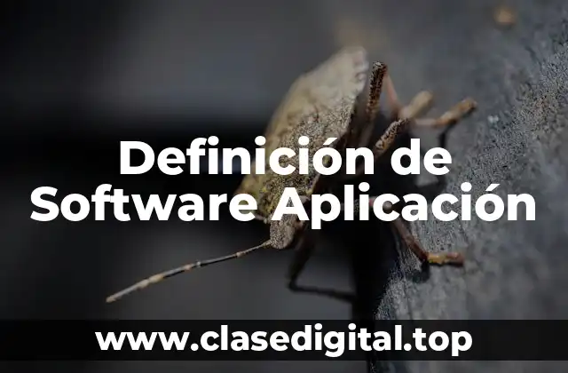 Definición de Software Aplicación